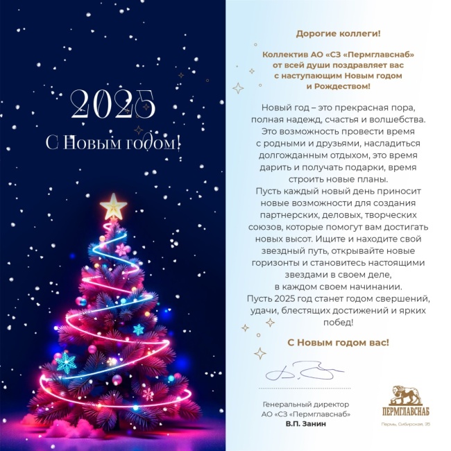 С Новым 2025 годом, дорогие коллеги!.jpg